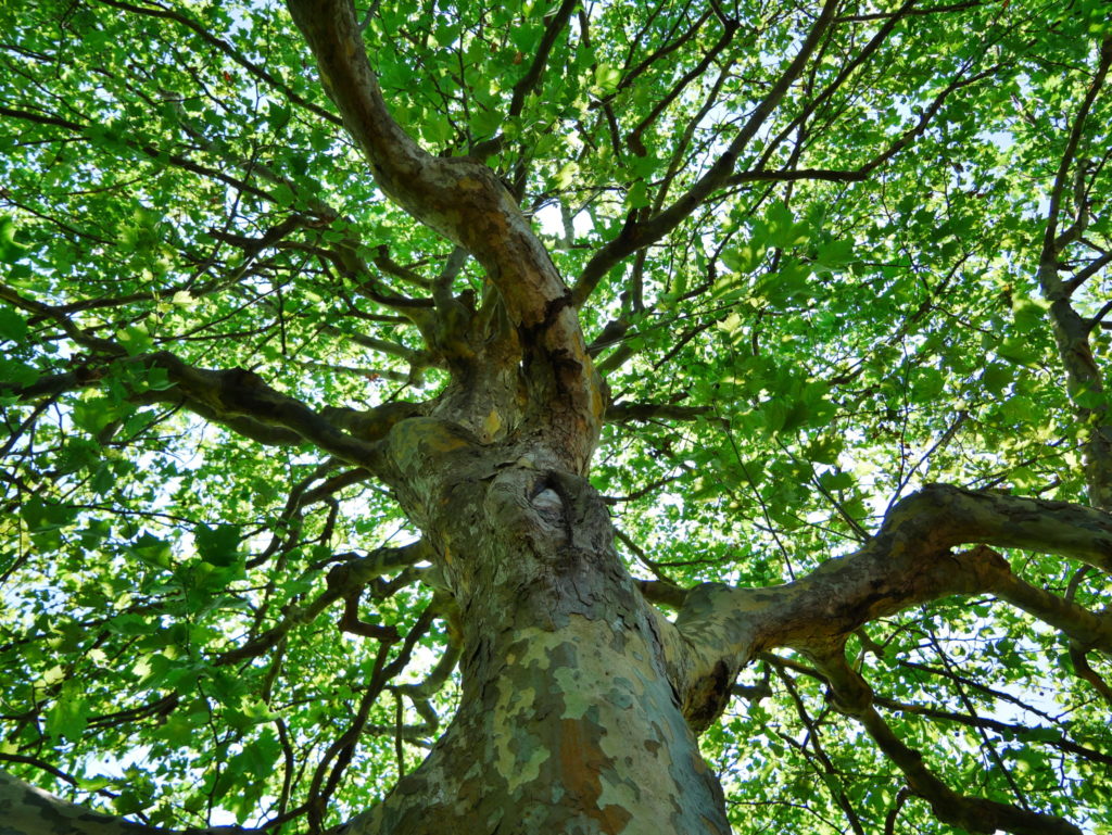 LUMIX 12-60mm 12mm開放(F3.5)