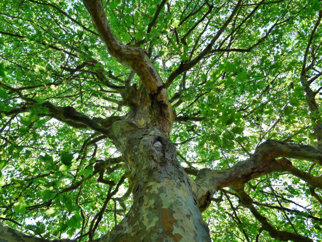 LEICA 12-60mm 12mm F5.6