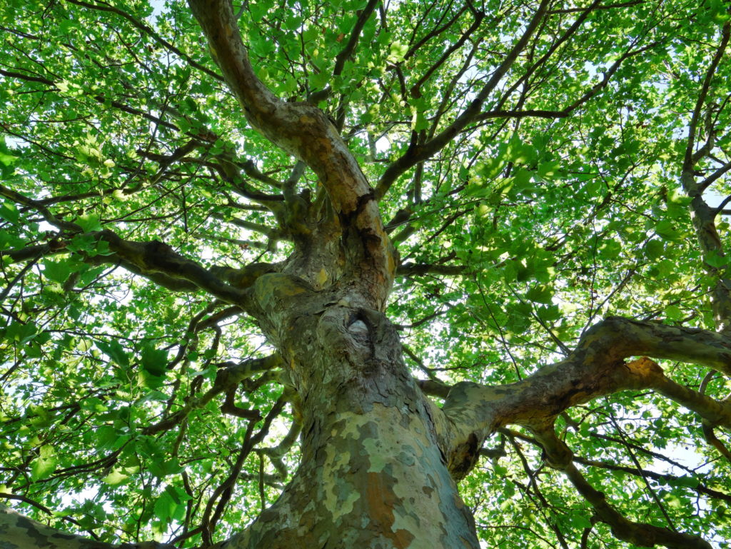 LEICA 12-60mm 12mm F8.0