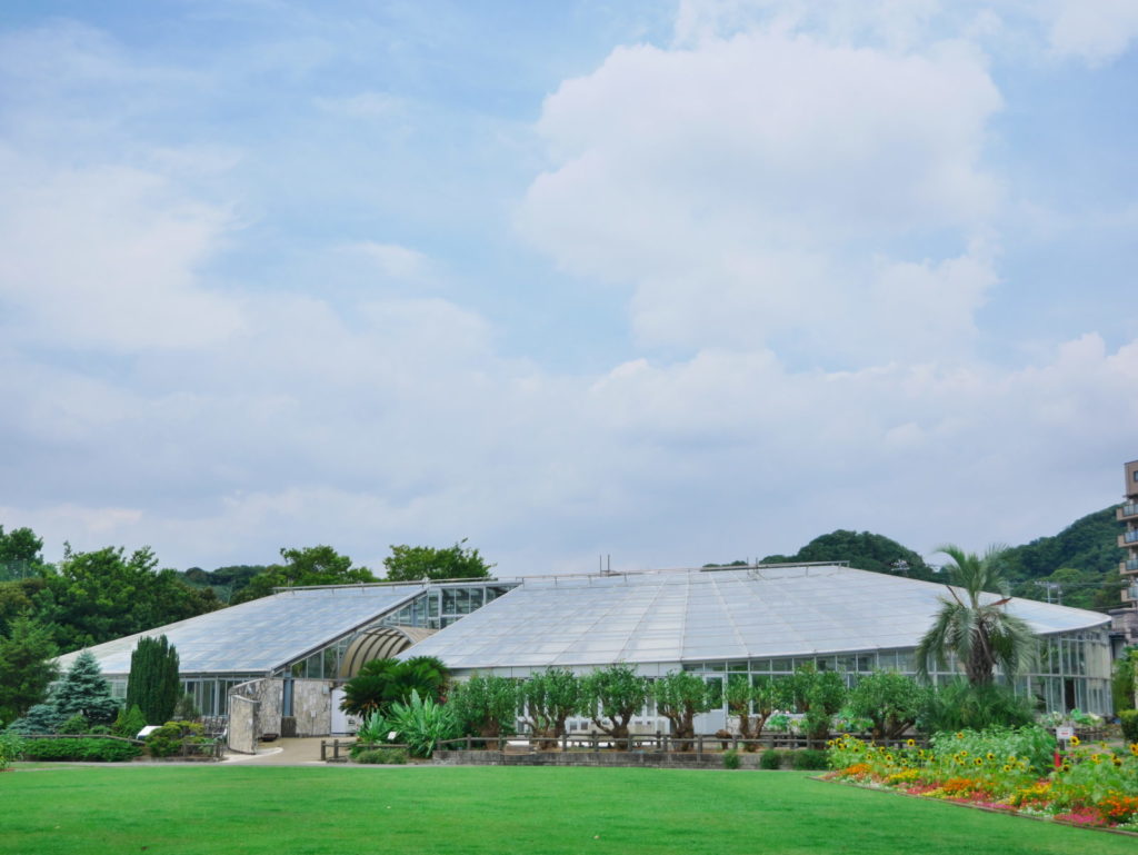 LUMIX 12-60mm 25mm F4.5