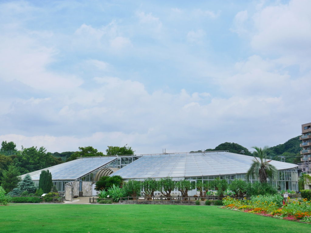 LEICA 12-60mm 25mm F3.5