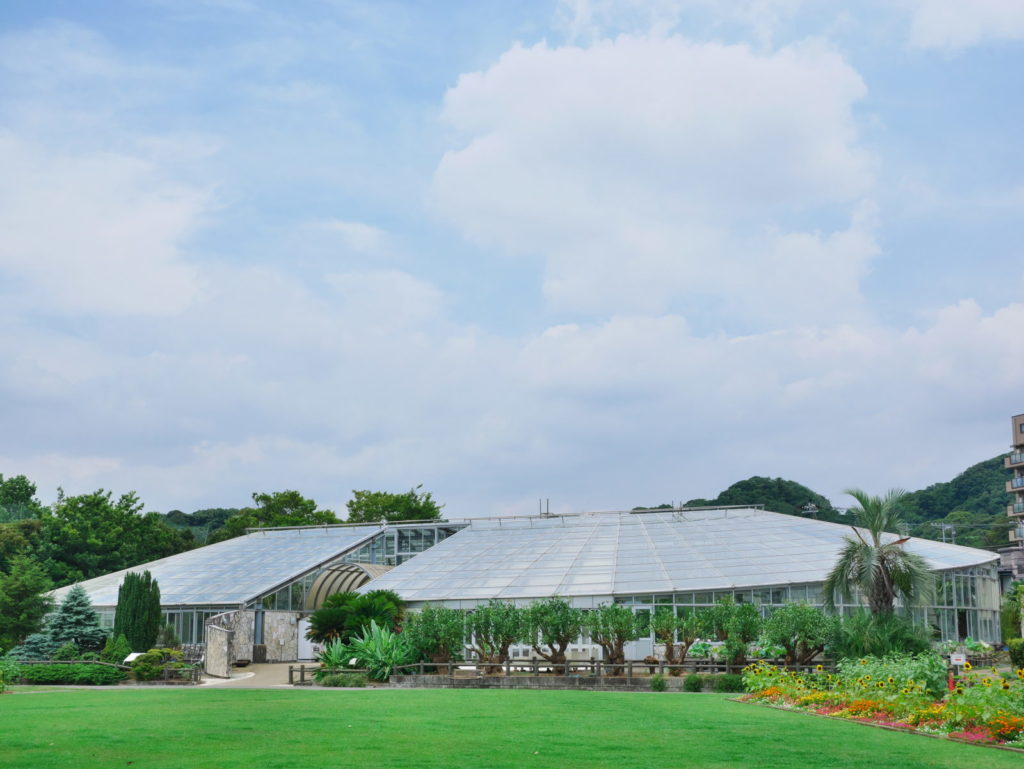 LUMIX 12-60mm 25mm F8.0