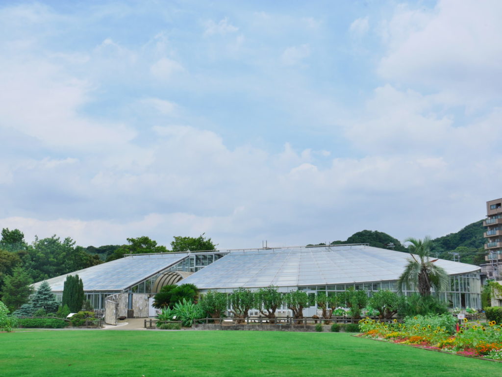 LEICA 12-60mm 25mm F8.0