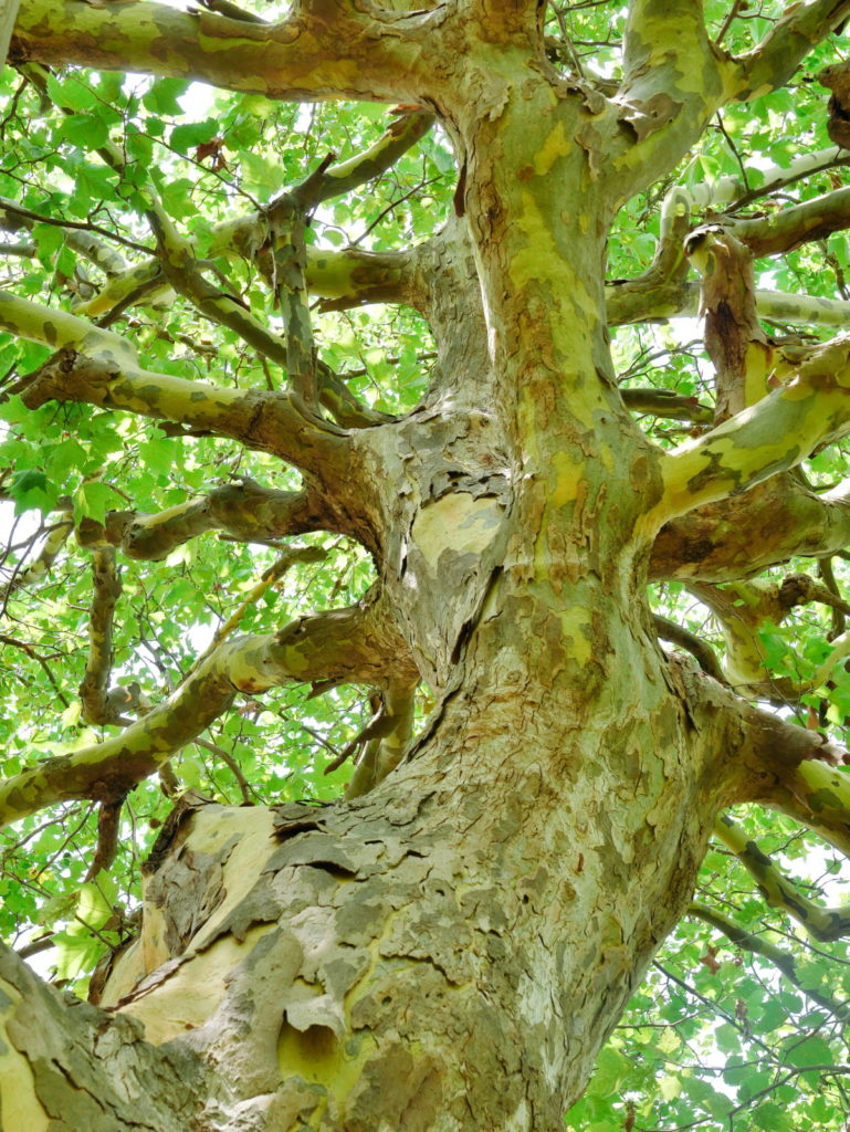 LEICA 12-60mm 25mm F8.0