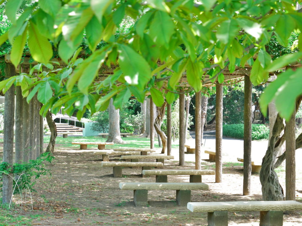 LEICA 12-60mm 45mm 開放(F3.9)