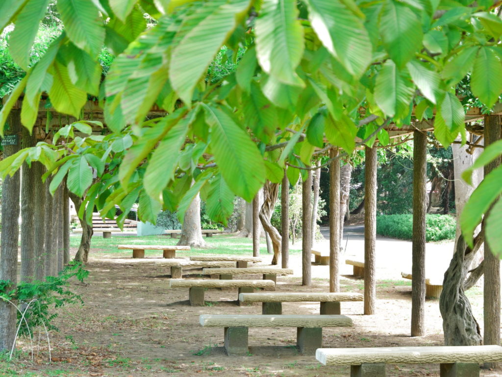 LUMIX 12-60mm 45mm F5.6