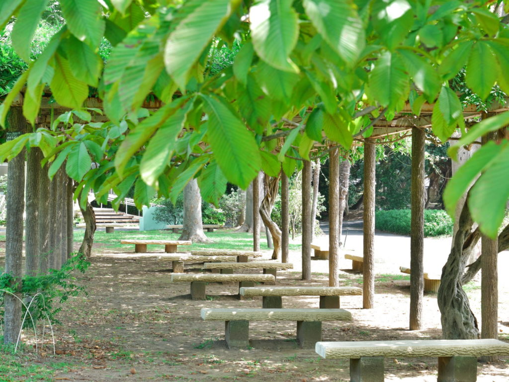 LEICA 12-60mm 45mm F5.6