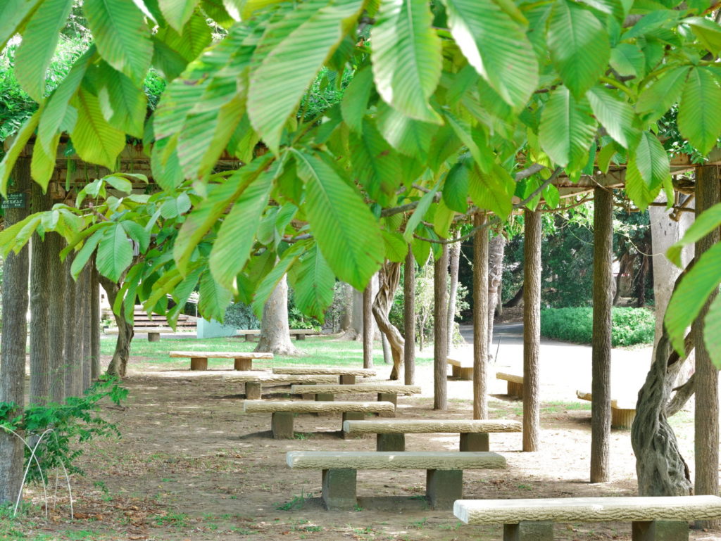 LUMIX 12-60mm 40mm F8.0