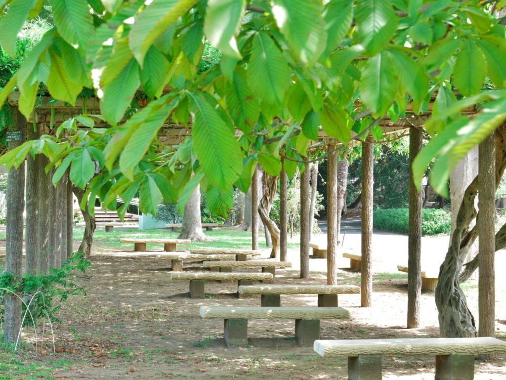 LEICA 12-60mm 40mm F8.0