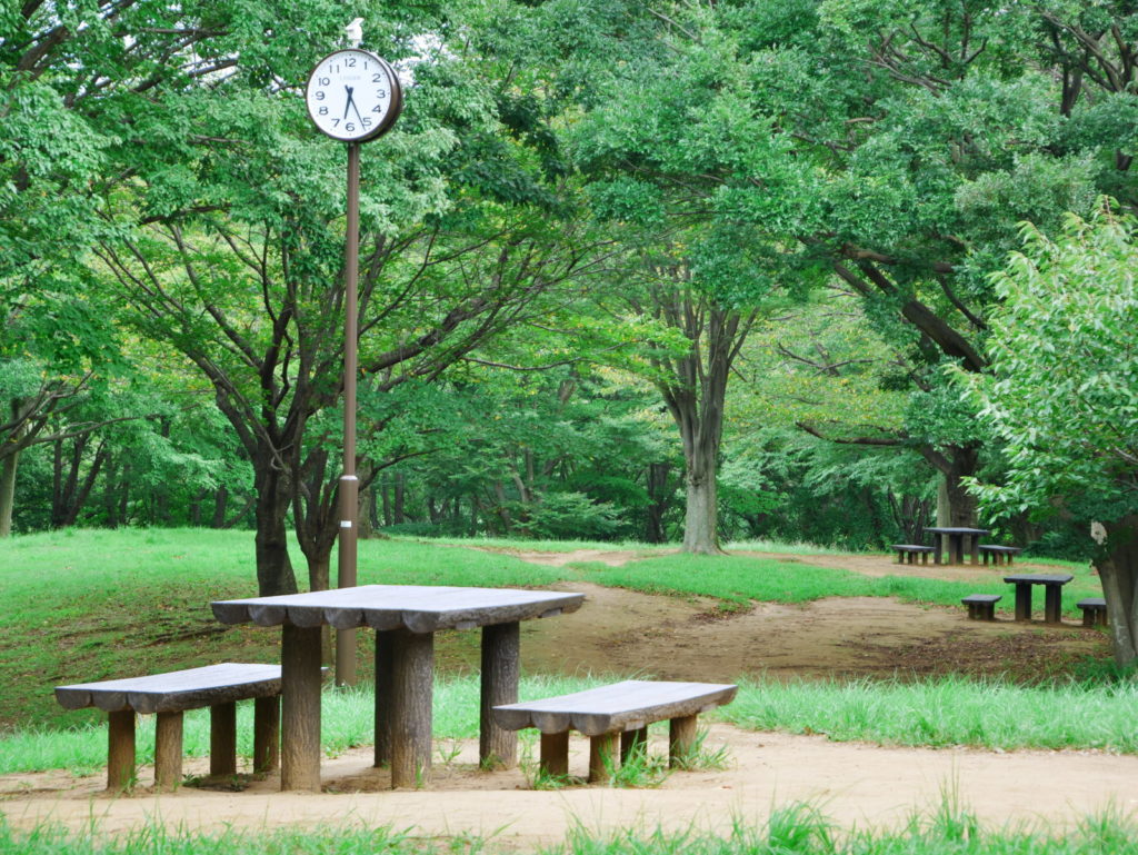 LUMIX 12-60mm 40mm 開放(F5.6)