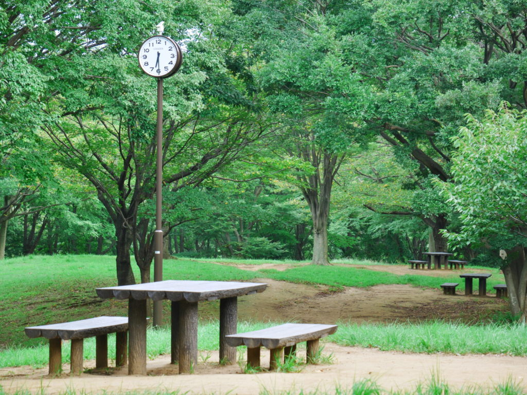 LEICA 12-60mm 40mm 開放(F4.0)