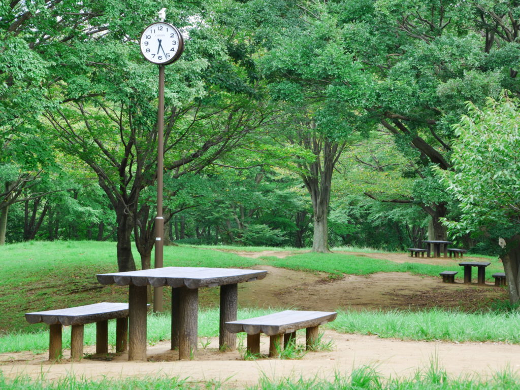 LUMIX 12-60mm 60mm F8.0