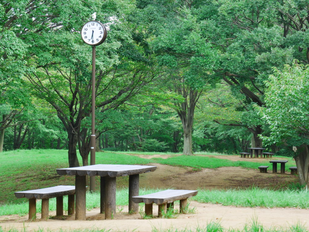 LEICA 12-60mm 60mm F8.0