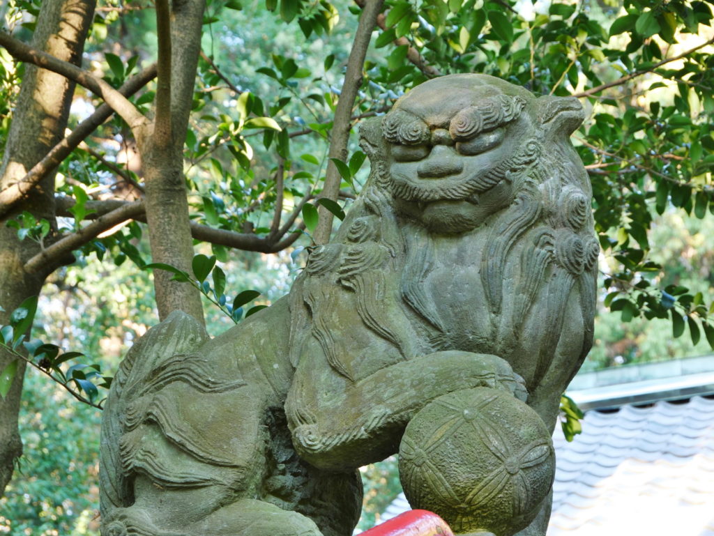 LUMIX 12-60mm 60mm F8.0