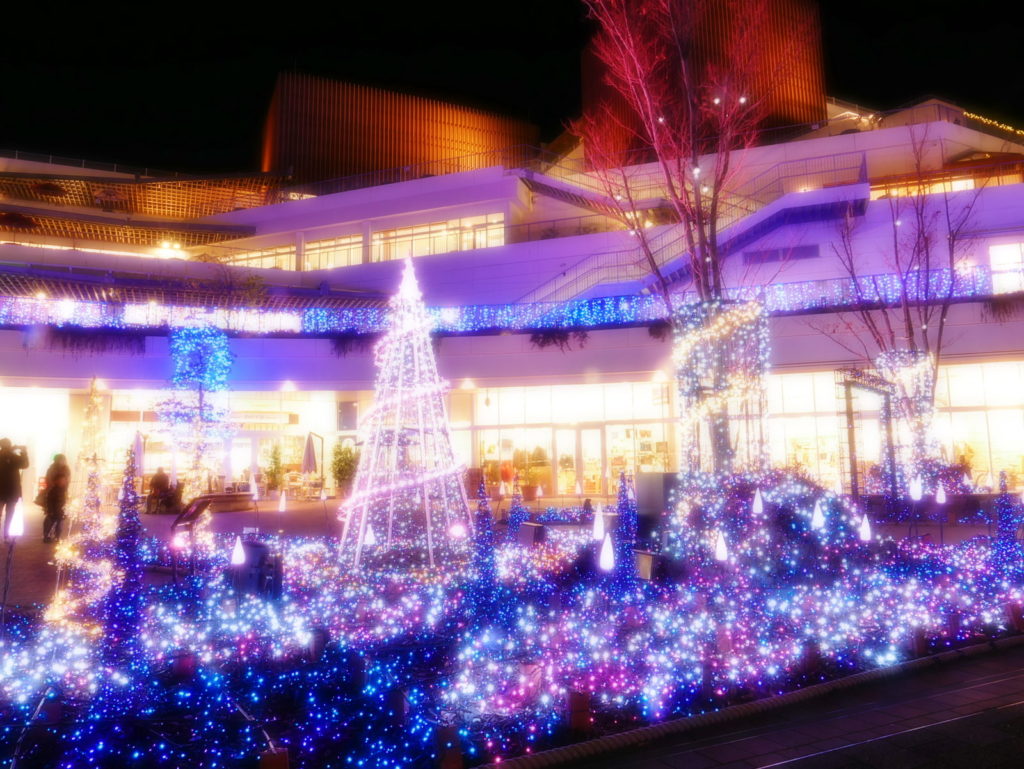 LEICA 12-60mm | 作例 | 光の共演