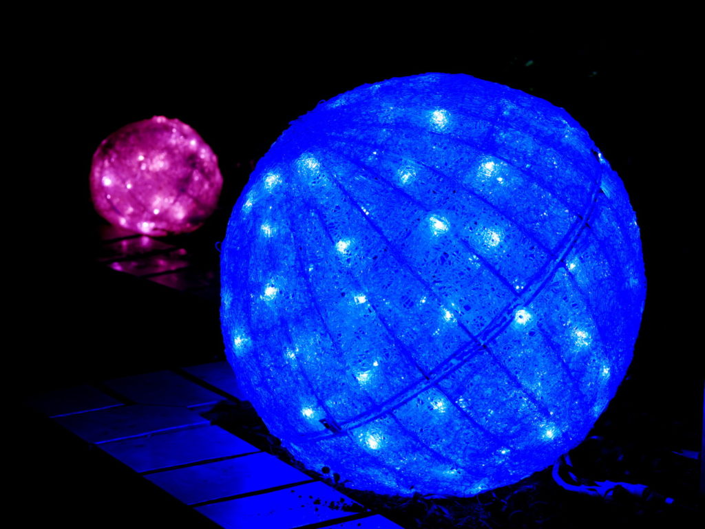 LEICA MACRO 45mm | 作例 | 和の煌めき