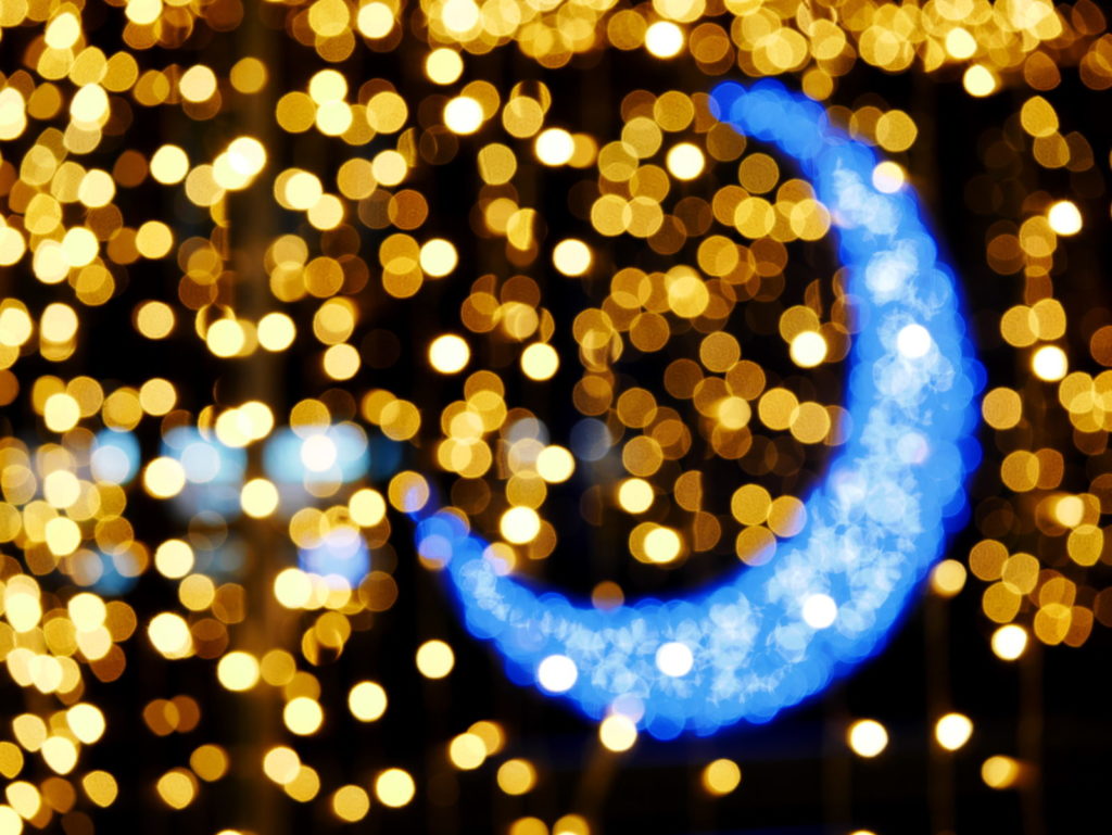 LEICA MACRO 45mm | 作例 | 三日月模様