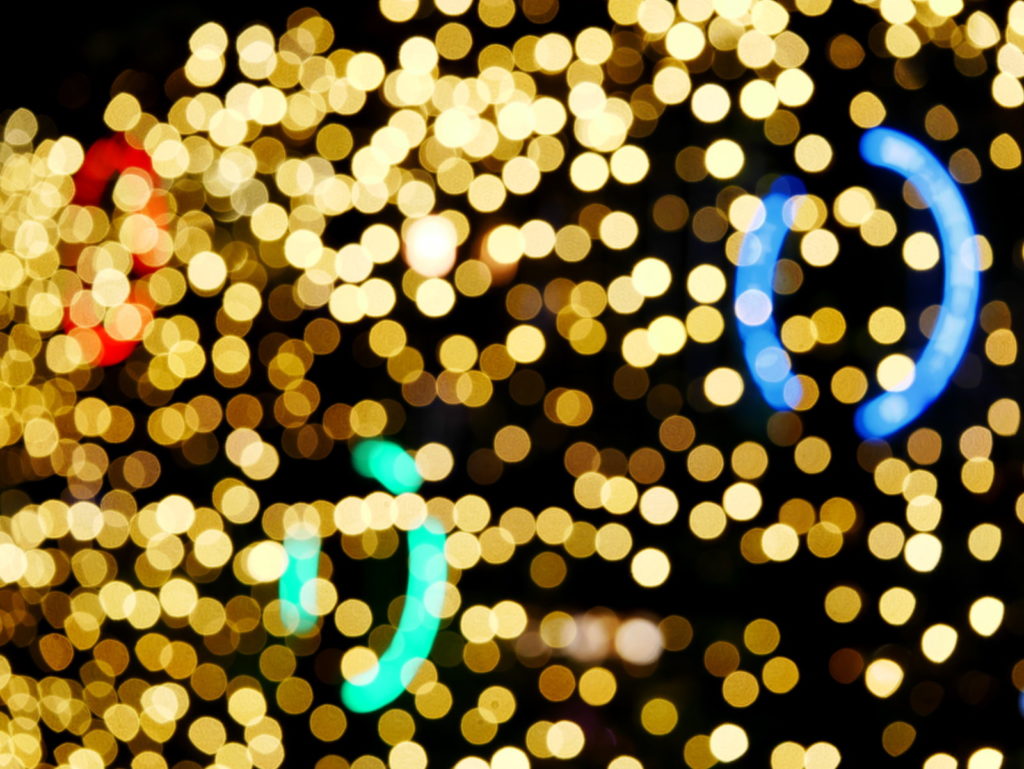 LEICA MACRO 45mm | 作例 | 光のリング